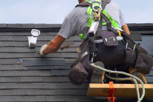 Best Roof Gutter Cleaning  in Cairo, GA